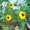 何でもかんでも書け書け言わんで。