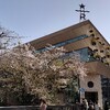 東京・中目黒の目黒川沿いに咲いてる桜 & 最近の転職活動状況