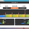 辛そうで辛くない、でもちょっと辛いWave Rider