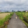 長野県の伊那までお出かけです。