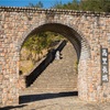 【写真】最近の写真撮影（2017/2/4）太陽公園その7