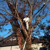 一緒に働ける方いませんか