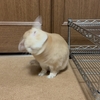 健康診断