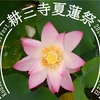 耕三寺 夏蓮祭（広島県）