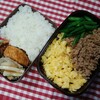 息子弁当　11/6