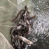 10/18    犬上川　稚魚放流完了