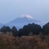 今朝の景色