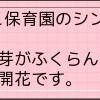 やっぱり市と協力するつもりはないらしいりんごっこ保育園