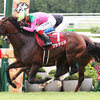 競馬初心者必見☆馬券予想🔥〜京都大賞典〜ディープ産駒が輝く舞台！