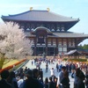 東大寺まで走って来ました。