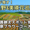 道民が推す！富良野&美瑛花巡りコース【ファーム富田と四季彩の丘など】