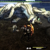 世界一遅いMHXX～第87回～