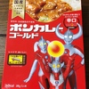 13日目：大塚食品 ボンカレーゴールド辛口