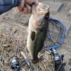 【2022−4/16(土)春の夕方釣行】