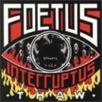 Foetus 『Rife』 - MECHANICAL FLOWER