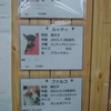 保護犬パーク長居店　2021.1.21