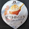 森永製菓 ビストロバニラ(アイス)！値段やカロリーや味は？コンビニで買えるアイス商品