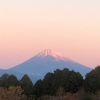 今朝の景色