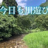 今日のよかった第29回〜今日も川遊び〜