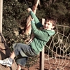 How Swing Set Makes Various Developments in your Child's Life