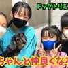 3月2日の動画