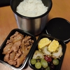 男子高校生のお弁当　今日のメインは豚肉の生姜焼き