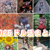 2025年のドル活まとめ！