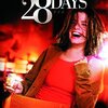 映画「28デイズ」