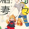 【書評】甘々と稲妻3巻、魔法使いの嫁、ホクサイと飯他