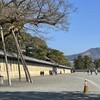 カメラ・テスト-4