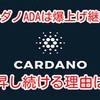 カルダノADAは爆上げ継続‼️ 上昇し続ける理由は⁉️