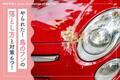 鳥のフンの落とし方と対策6つ！車によく落とされる理由は？
