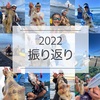 2022年振り返り