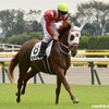 12/28(土) 高知競馬予想