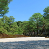 島根 Vol.5＜足立美術館＞