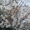 はちぶざき