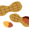 ピーナツの芽を食べると太る、というのは迷信だった！（うすうす思ってたけど）