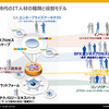 BPx : Business Process Expertsのこと