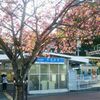 京都の鉄道むすめ 2016/4/14・その５