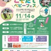 阪神西宮｜受付中！2026年11月14日（土）20以上の体験が、親子の世界をひろげる「こそだてベビーフェス」が開催されます
