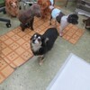 まろにー3606日目
