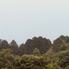 今朝の景色