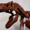 【プラモデル？】ティラノサウルスとコロナと私。ティラノサウルス1/35骨格模型キットを作りました。