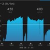 5km×2回～12月28日～