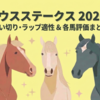 【シリウスステークス 2026 予想】追い切り･ラップ適性･レース傾向考察 ＆ 各馬評価まとめ / 3歳秋の内容を評価して