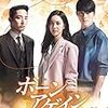 『ボーンアゲイン～運命のトライアングル～』２８話まで