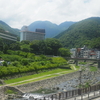 アジサイを求めて箱根登山鉄道沿線をブラブラしてきた。