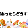 💸30万あったらどうする？💰