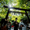 野宮神社と竹林