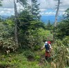 【うつくしま百名山】会津に住むおじさんが山開きの日に三岩岳（2,065ｍ）と窓明山（1,843ｍ）を周回して登った話。その１【登山口～三岩岳山頂】